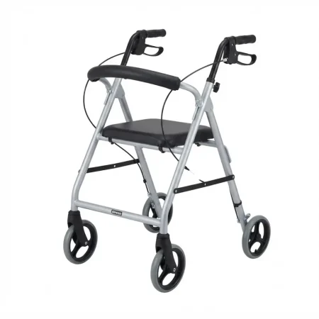 Walker with Hand Brake